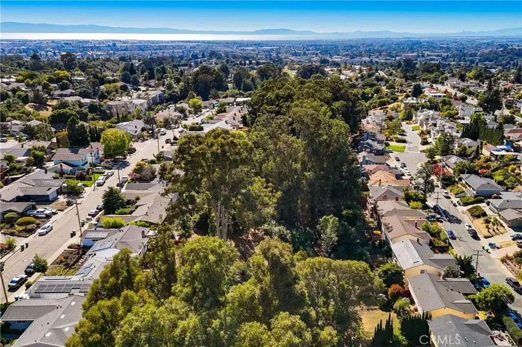 1 Nina, Hayward