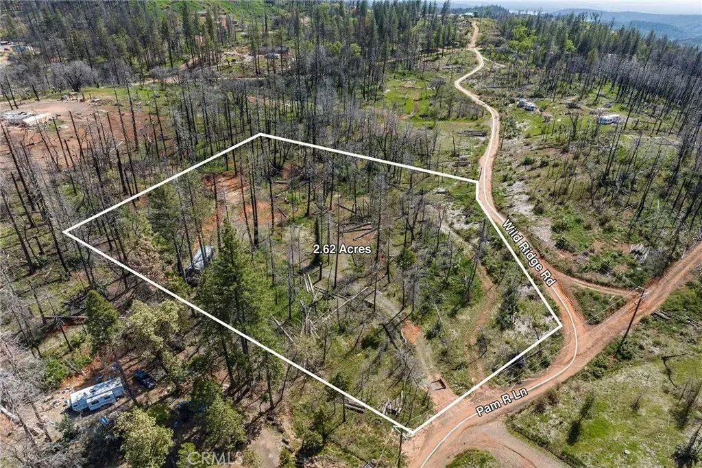 45 Pam R, Berry Creek