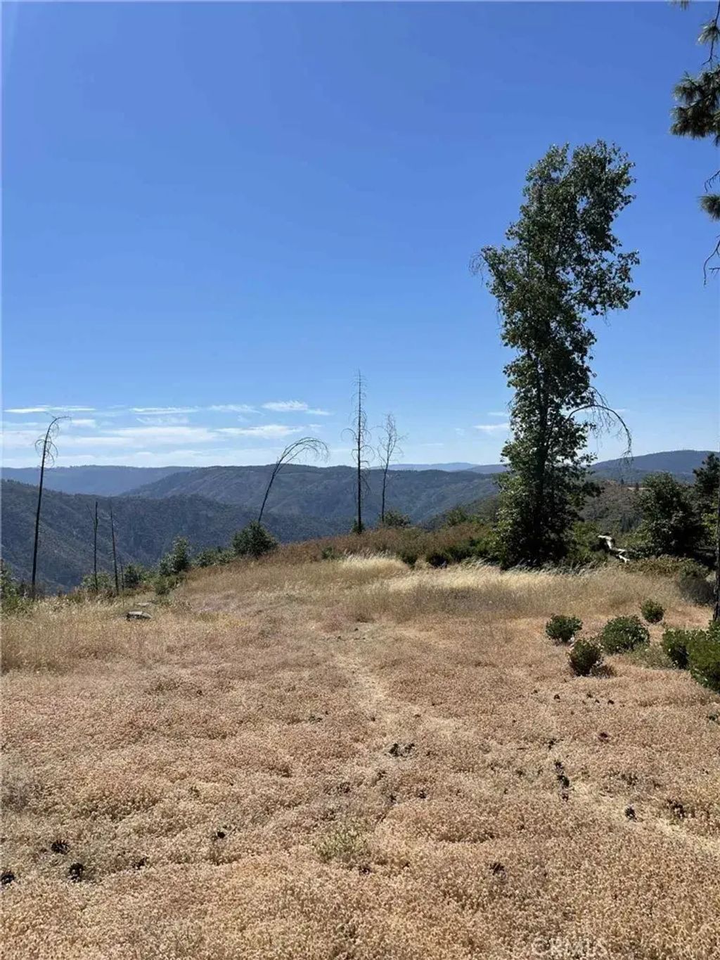 12269 Andy Mountain, Oroville