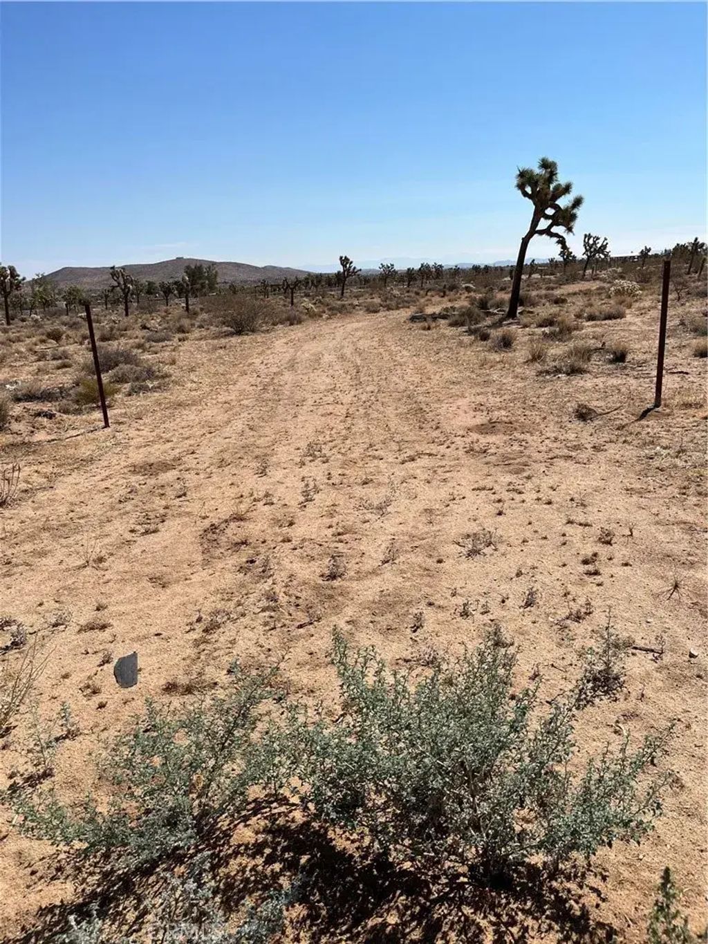 2801 Avalon, Yucca Valley