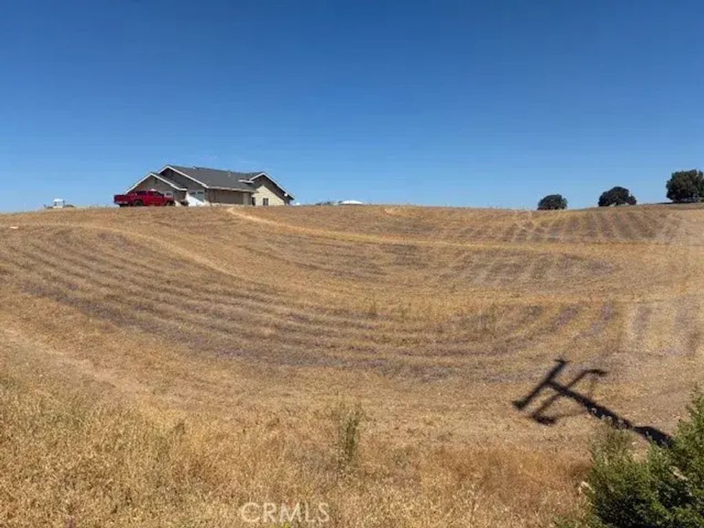 Black Tail, Paso Robles