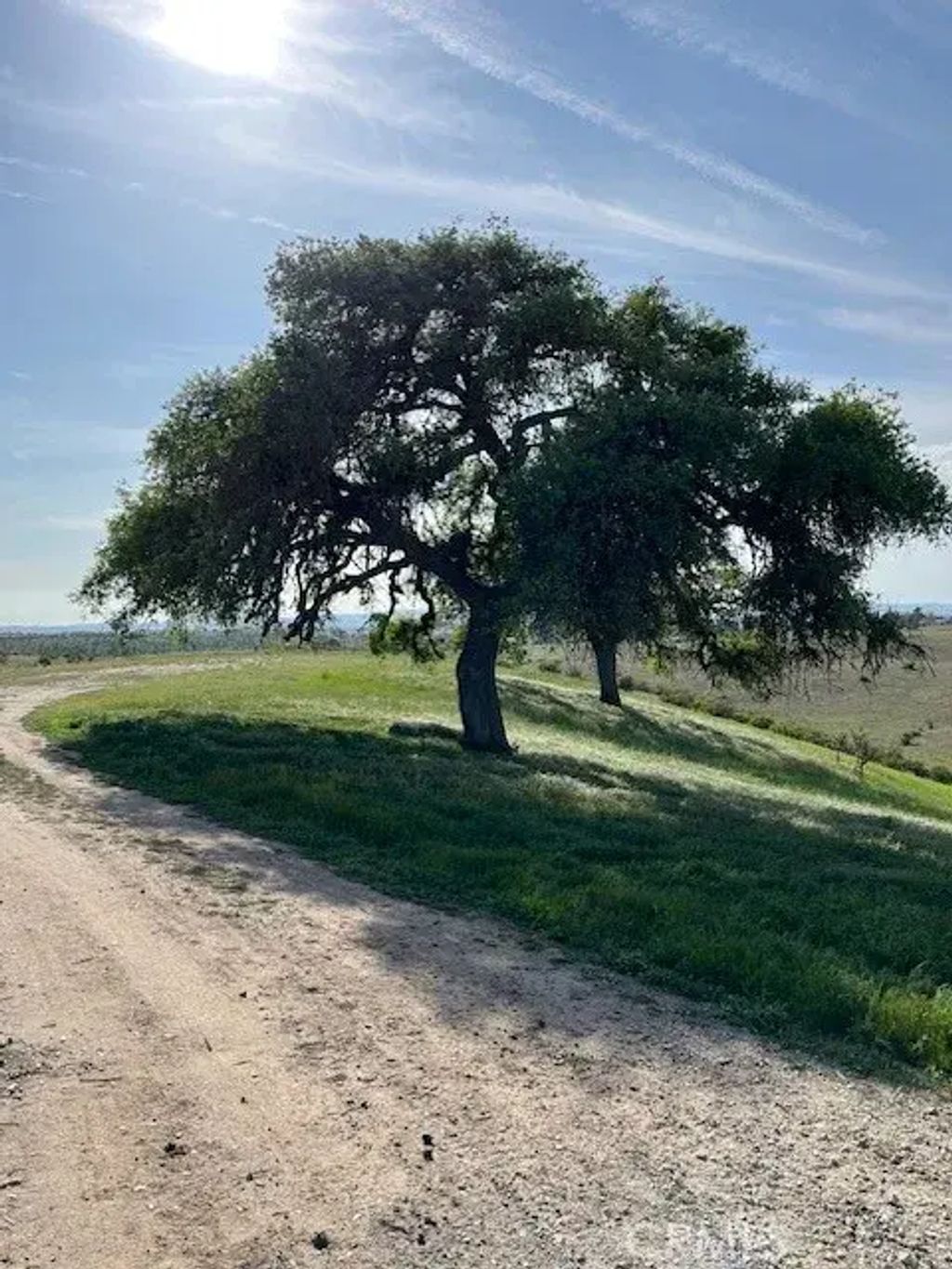 Forked Horn, Paso Robles