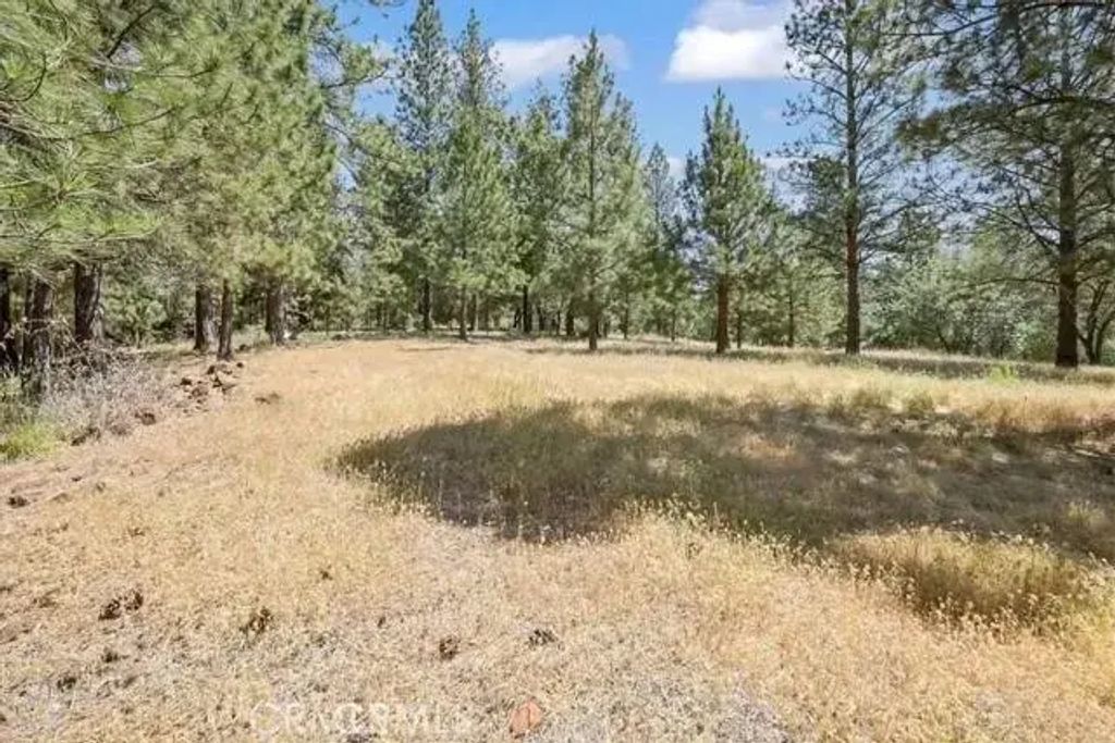 15000 Ponderosa Rd, Oregon House