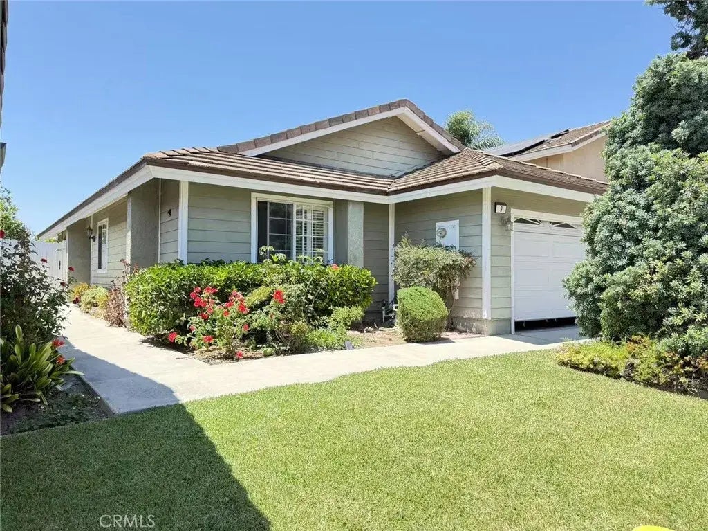 9 Petersburg, Irvine