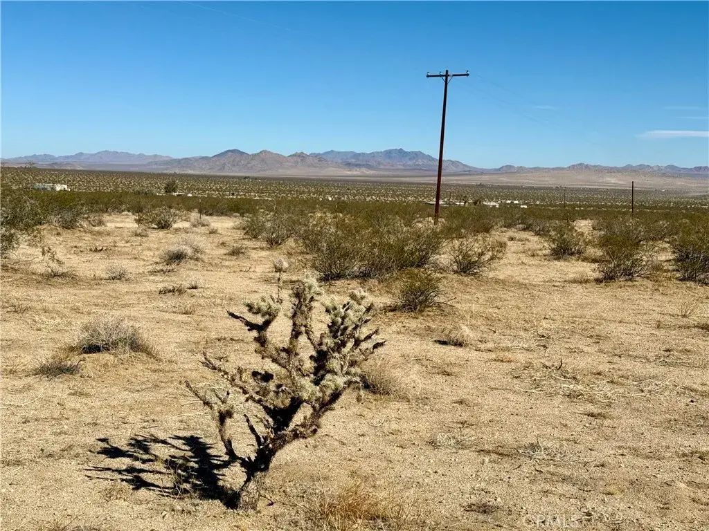 Big Horn, Johnson Valley
