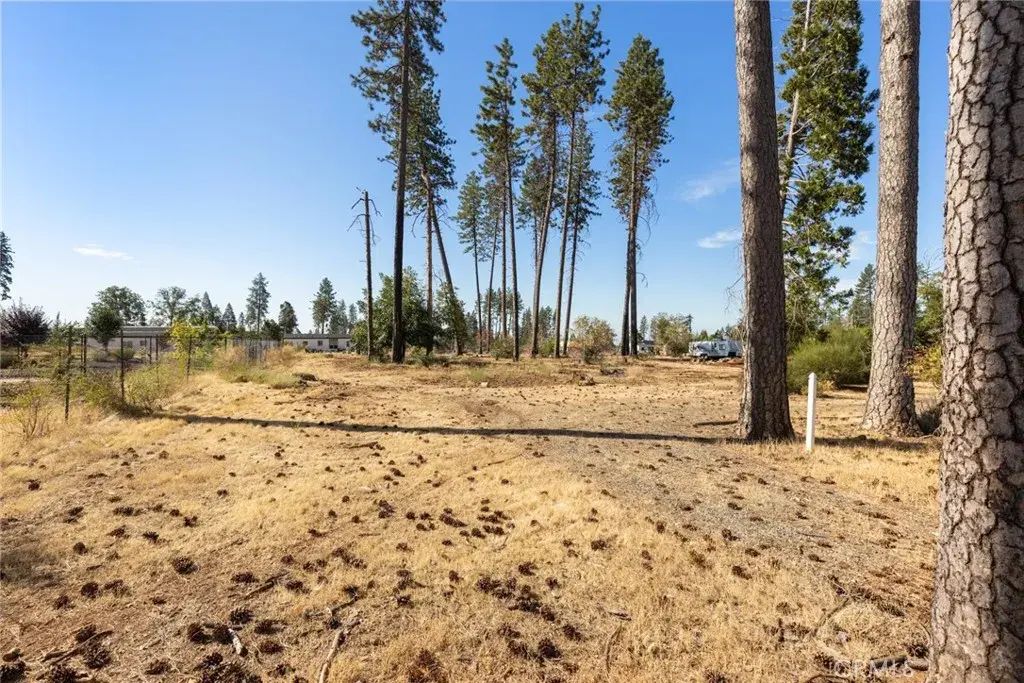 570 Bille Road, Paradise