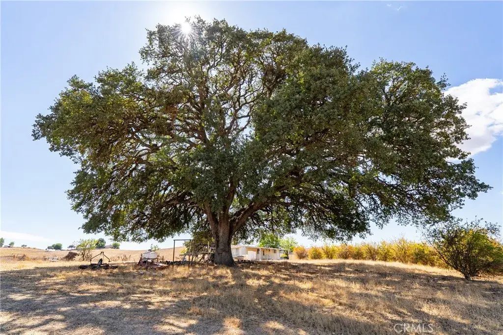 27 Wellsona, Paso Robles