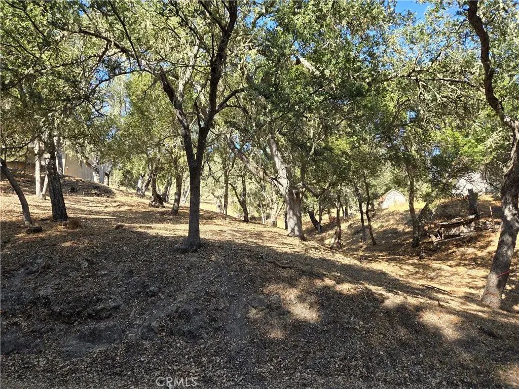 6525 Navarette, Atascadero