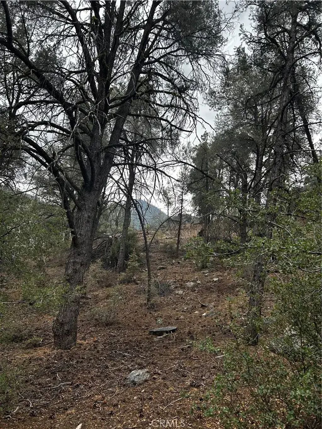 14208 Yellowstone, Pine Mountain Club