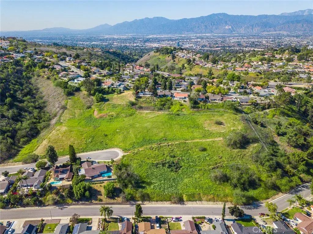16 Camelback, Walnut