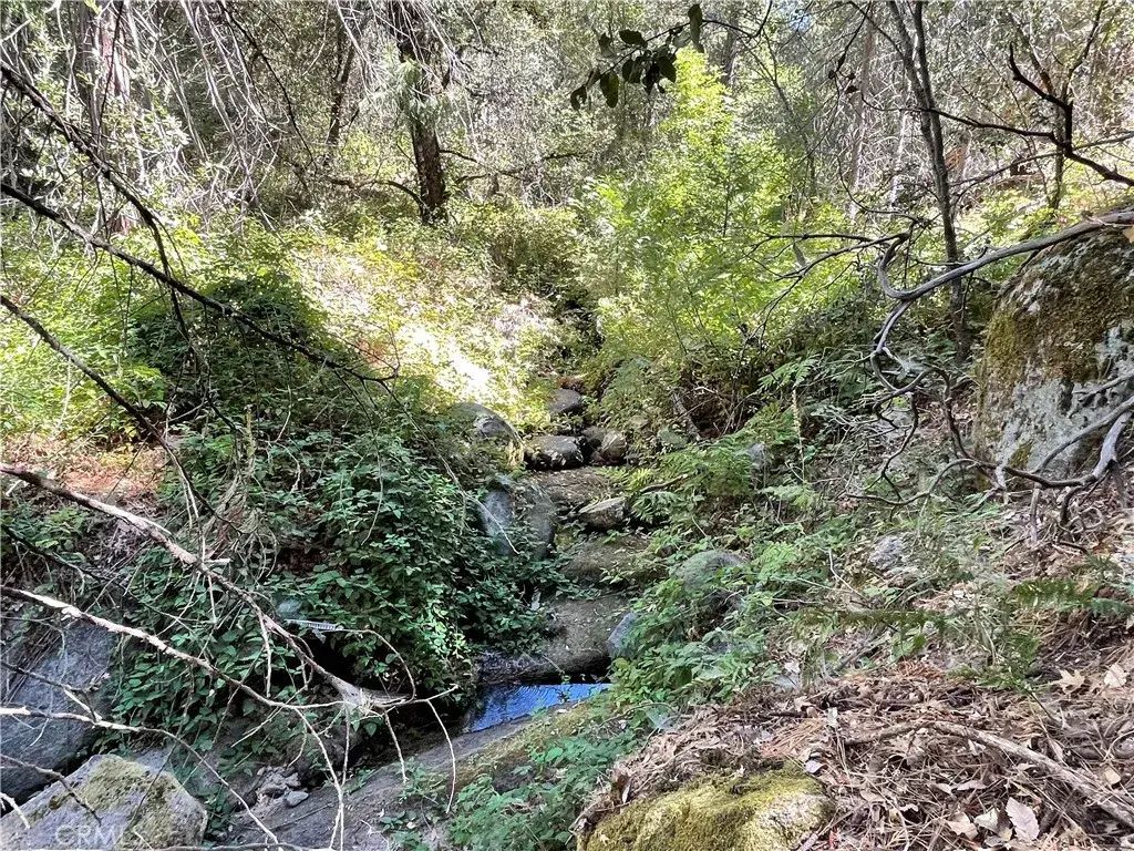 5699 Creel, Mariposa