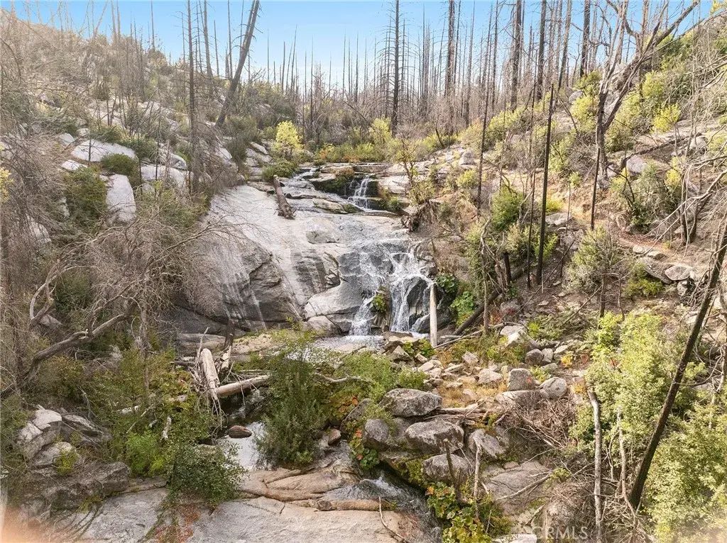 Gamble, Berry Creek