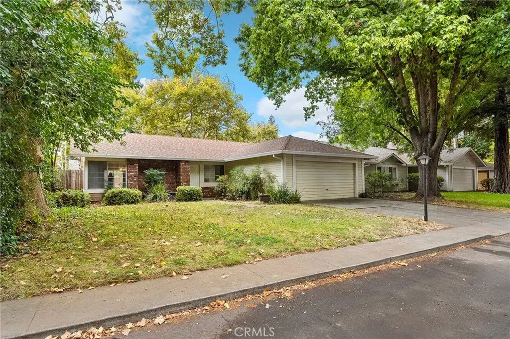 65 Sunbury, Chico