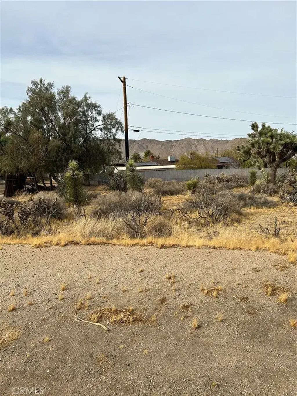 Piute Trail, Yucca Valley