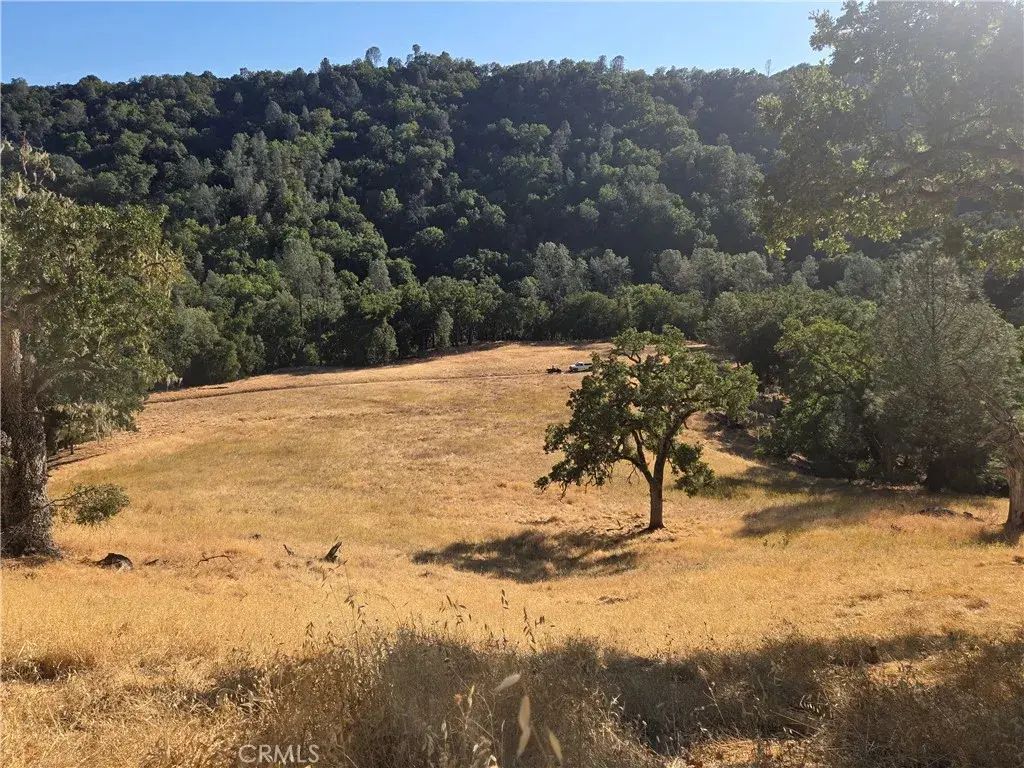 Gallegos Ranch, Paso Robles