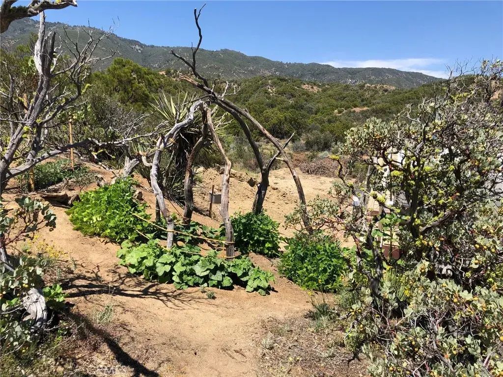 Sierra Vista Rd., Anza