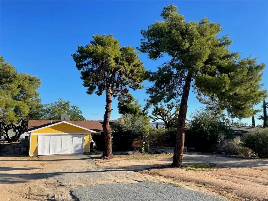 56616 Joshua, Yucca Valley