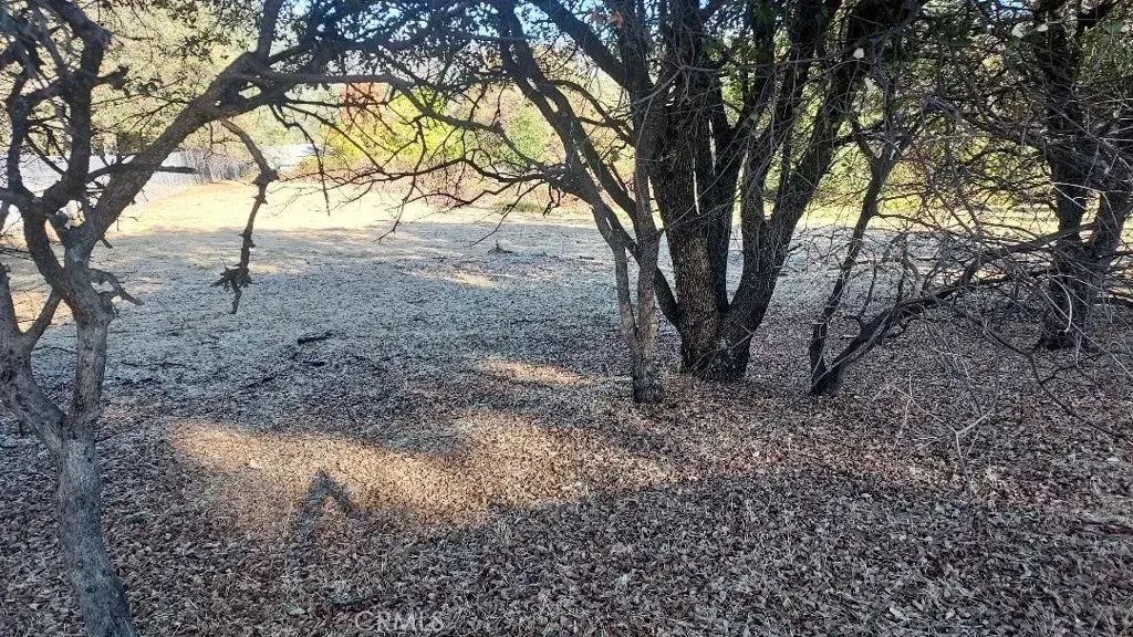 494 Kelly Ridge, Oroville