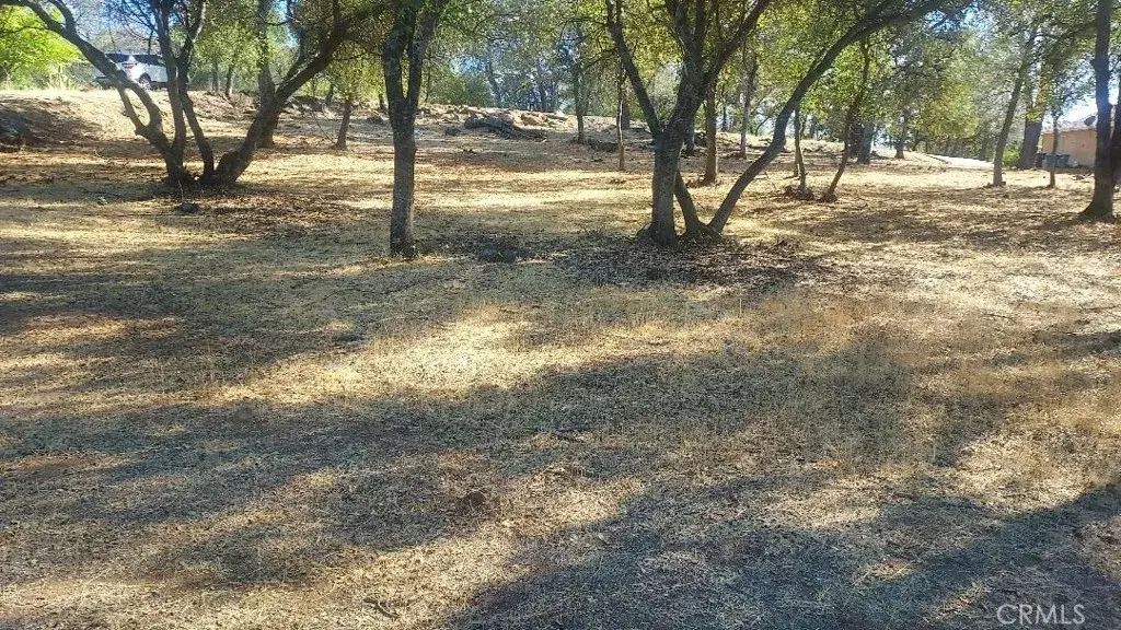 307 Lodgeview, Oroville