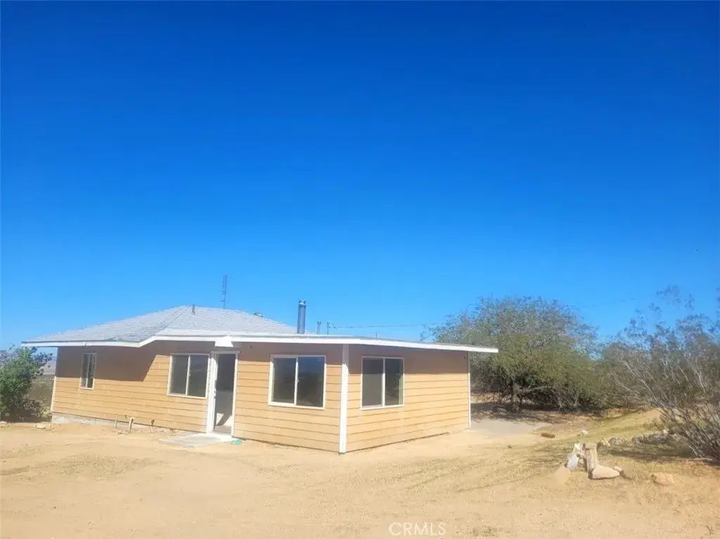 50471 Cholla, Johnson Valley