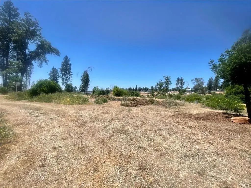 5733 Copeland, Paradise