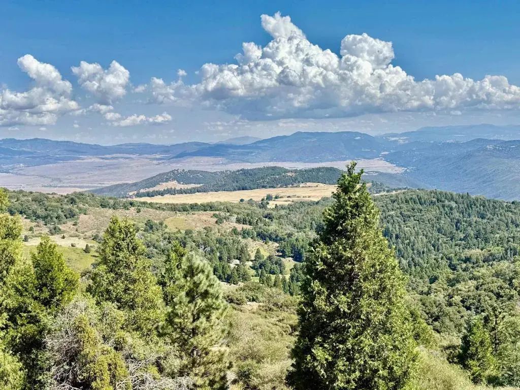 32771 Birch Hill Road, Palomar Mountain