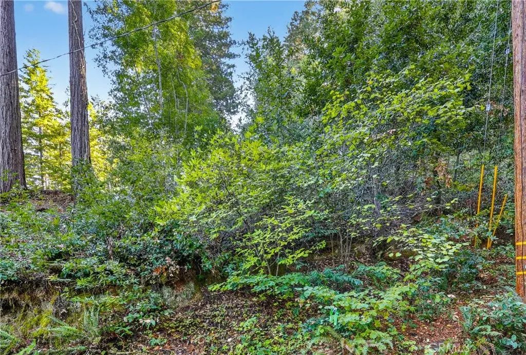 11480 Terrace, Forestville