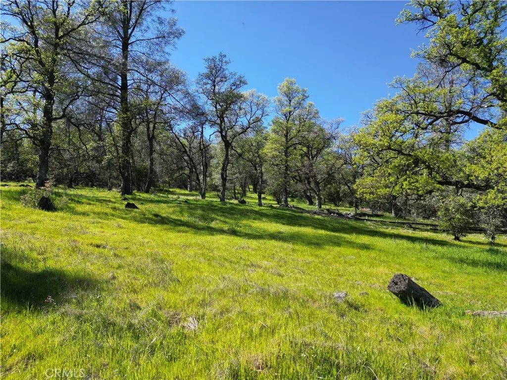 Hidden Mine Rd, Oroville