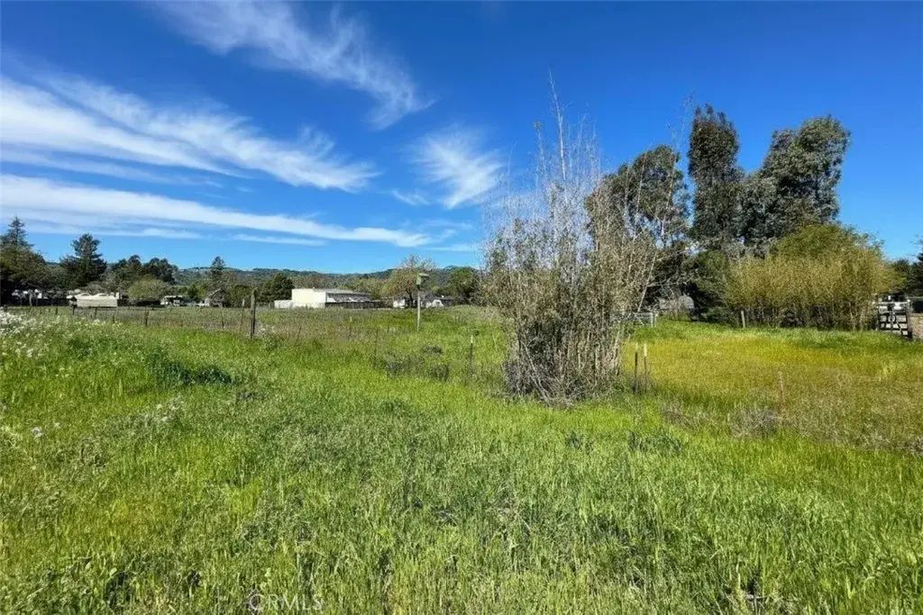 1025 Laurel, Sonoma