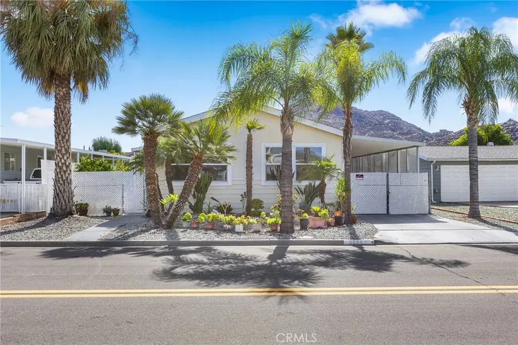 30857 Palmetto Palm, Homeland
