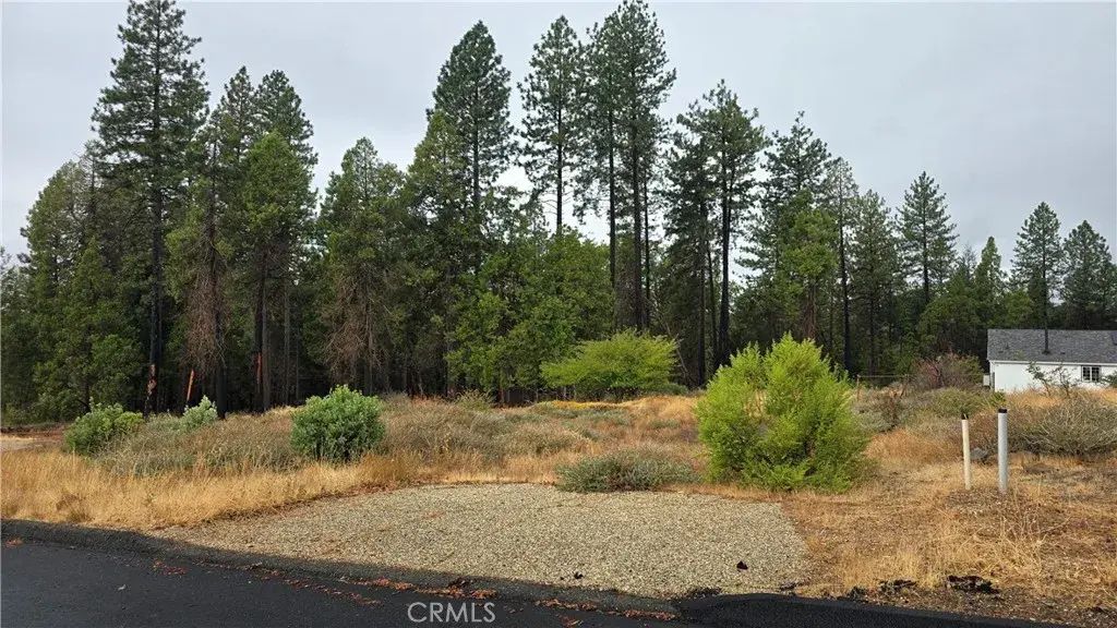 13941 Cluster, Magalia