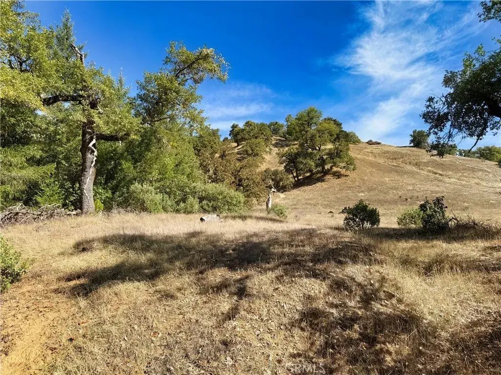 18225 Scenic, Redwood Valley