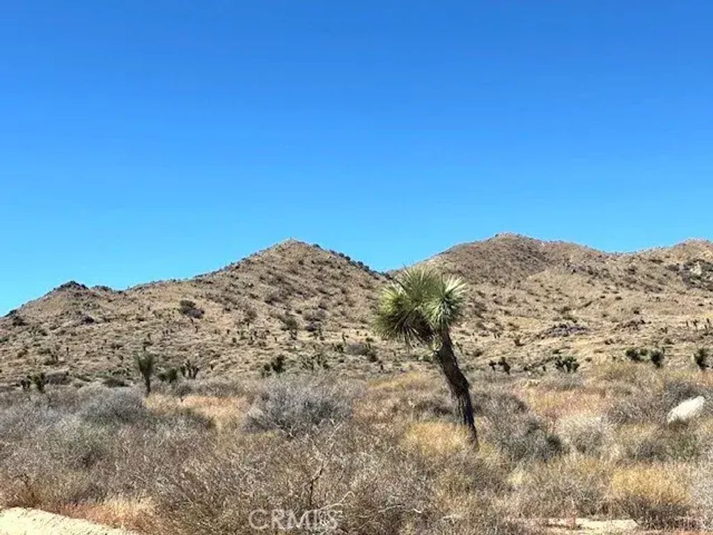Off Elata, Yucca Valley