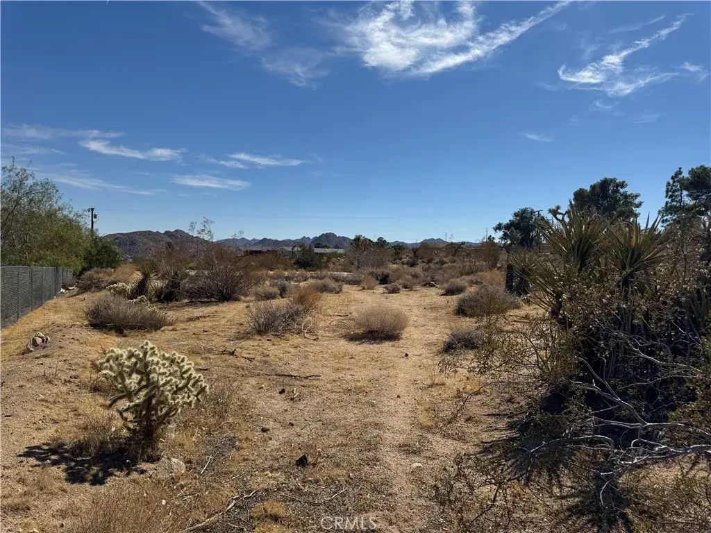 Sunny Vista, Joshua Tree