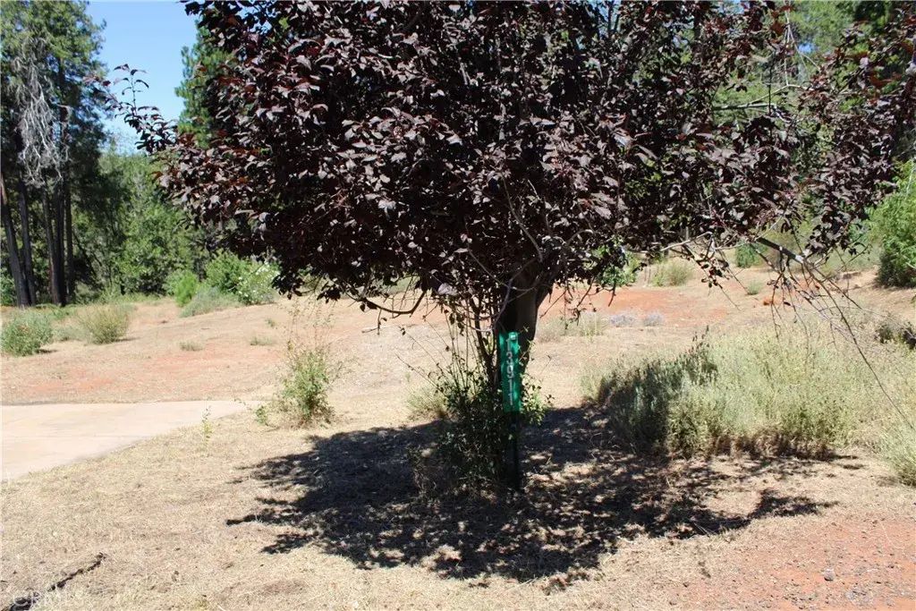 13911 Cluster, Magalia