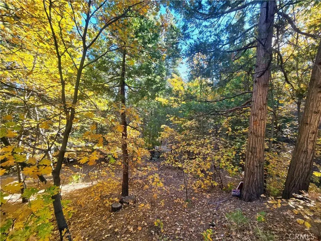 Brentwood, Lake Arrowhead
