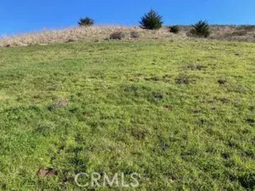 Cayucos, Cayucos