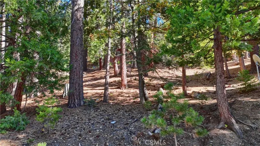 7232 Yosemite Park, Yosemite
