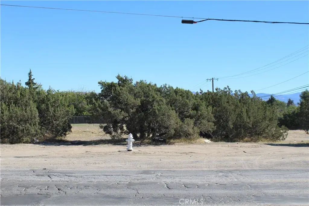 Ranchero, Hesperia