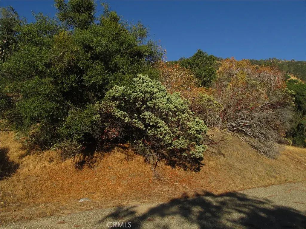 2 Old Oaks, North Fork