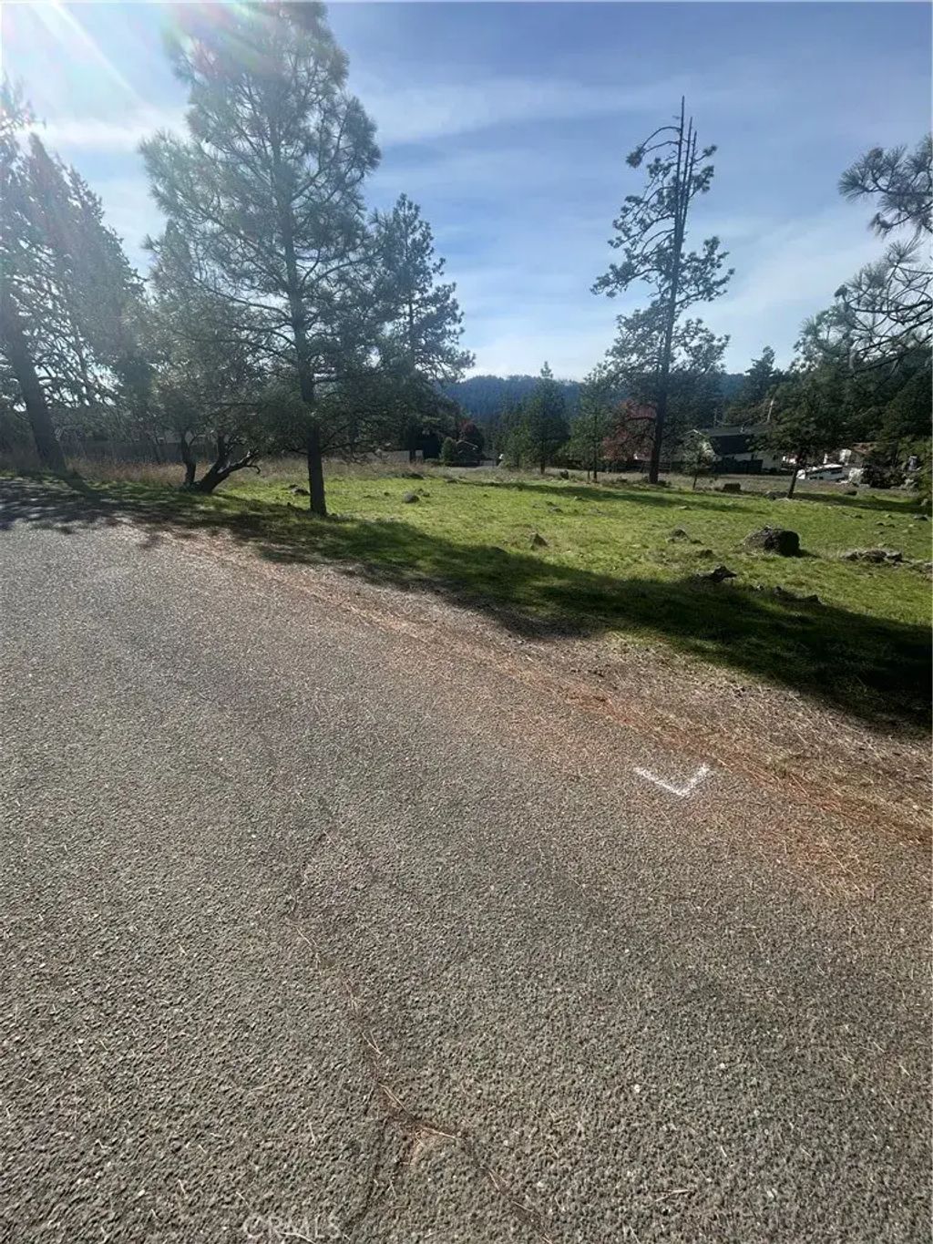 1683 Padula, Willits
