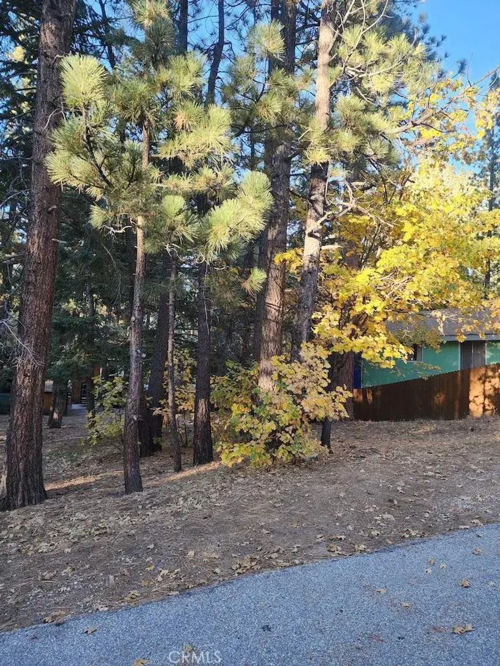 42736 Willow, Big Bear Lake