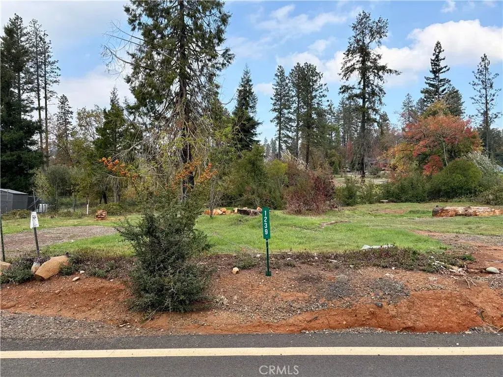 1239 Elliott, Paradise