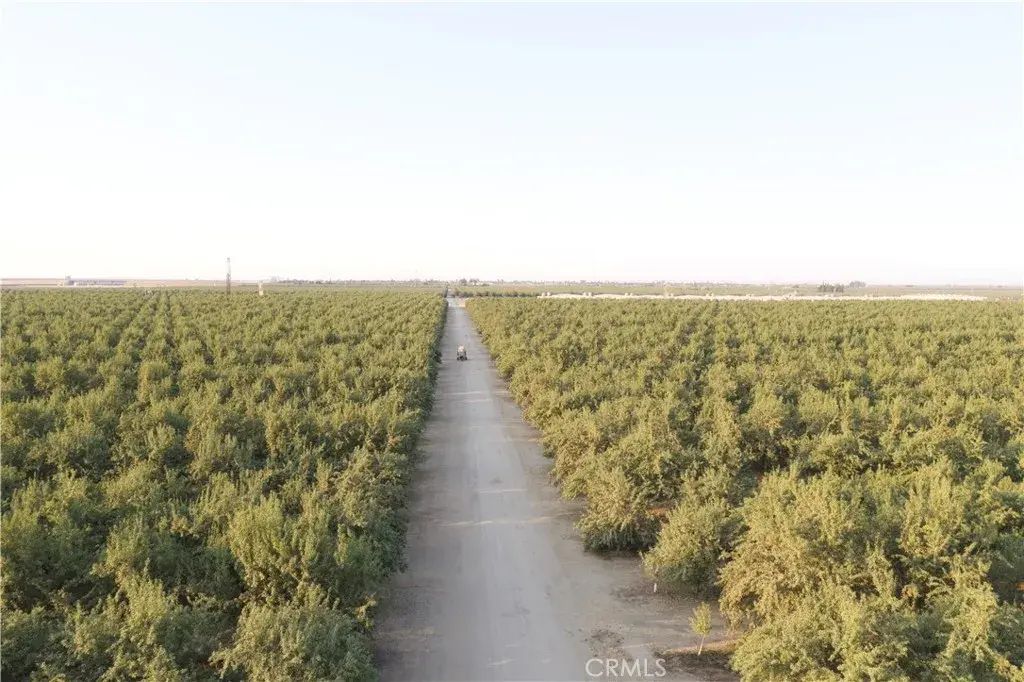 N Palm, Wasco