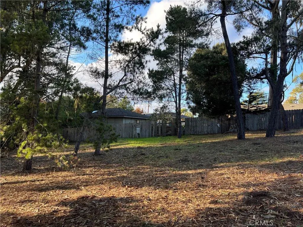 1985 Wilton, Cambria