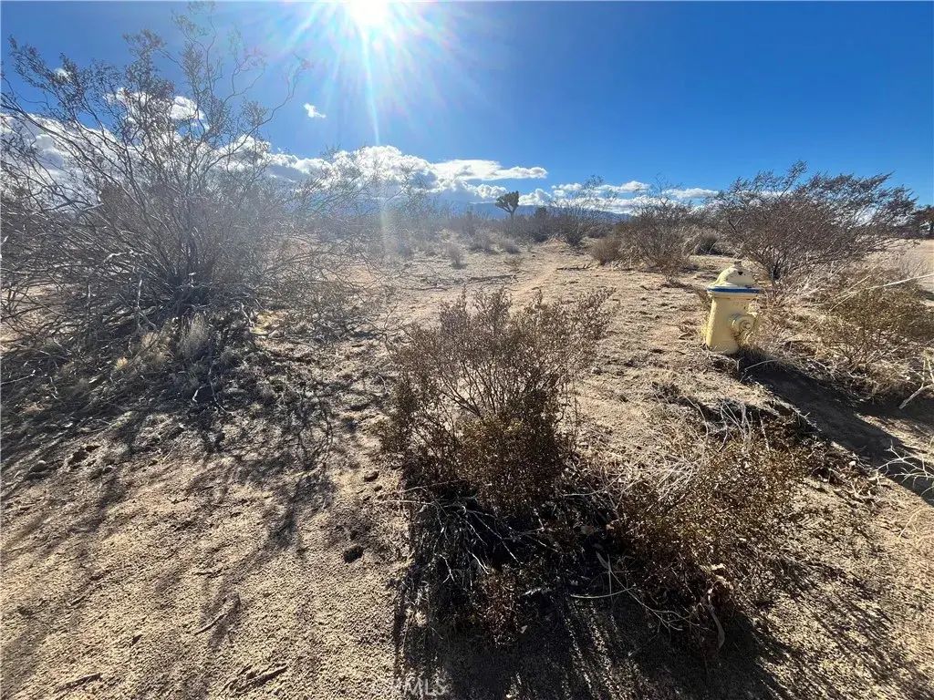 1 Greasewood Ln, Phelan