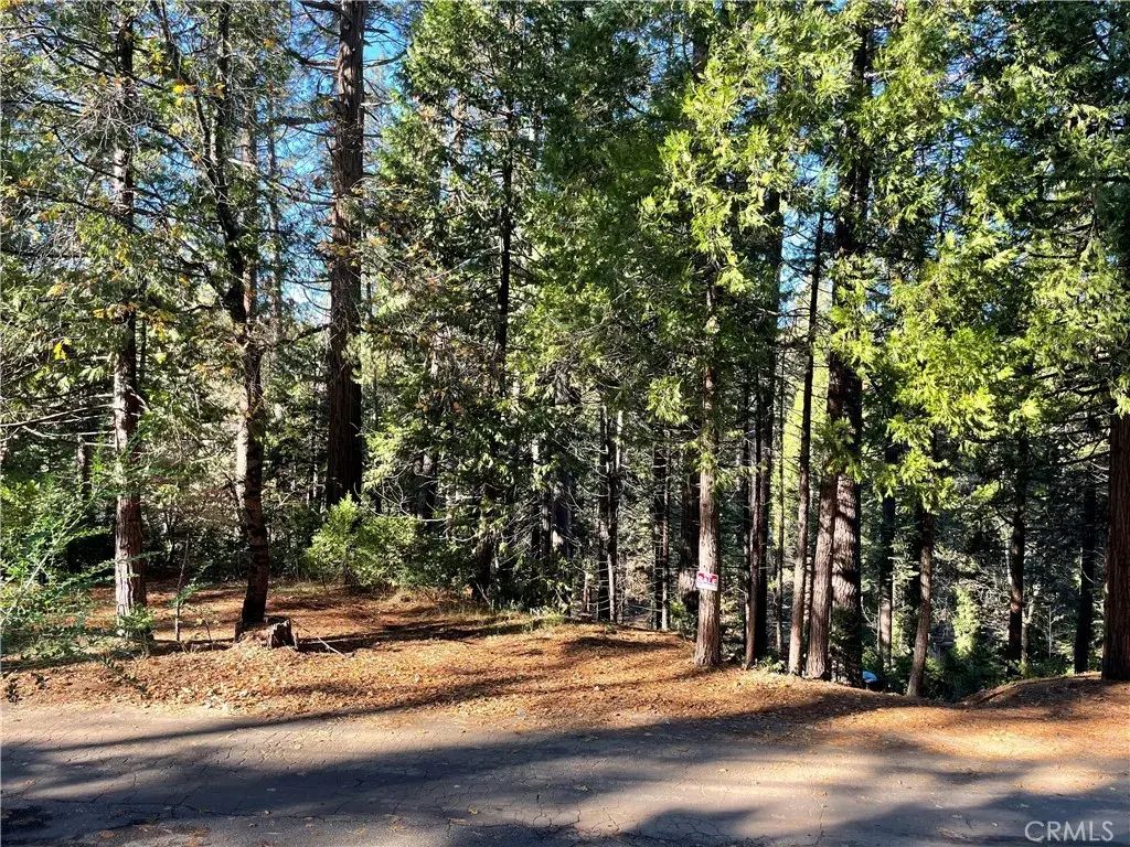 22447 Ponderosa, Twain Harte