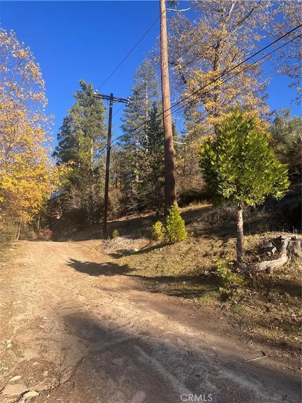 29834 Juniper, Cedar Glen