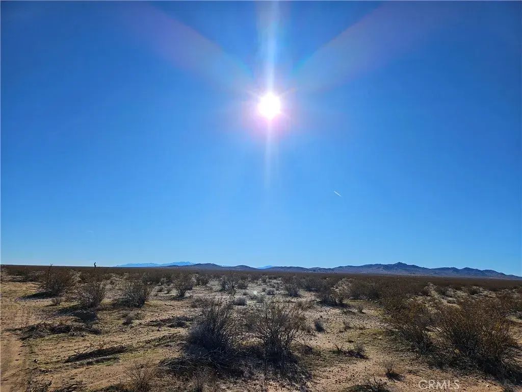 Buckthorne Canyon, Adelanto