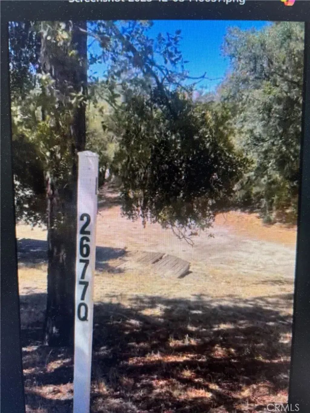 26770 Saunders Meadow, Idyllwild